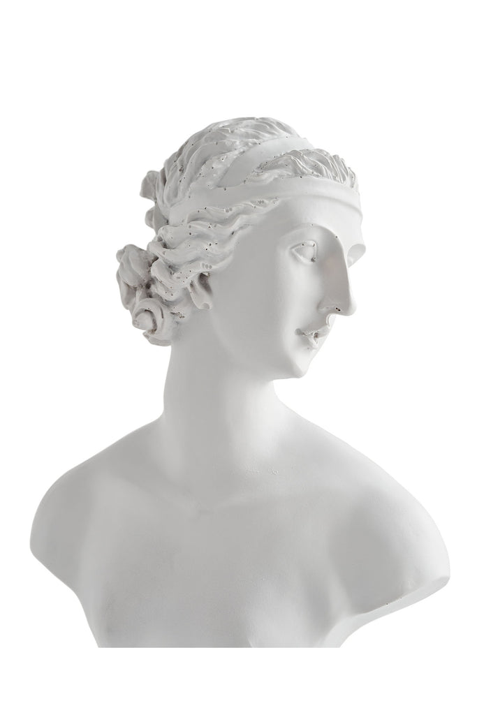 3200392395.0-woman-vizon-biblo-3