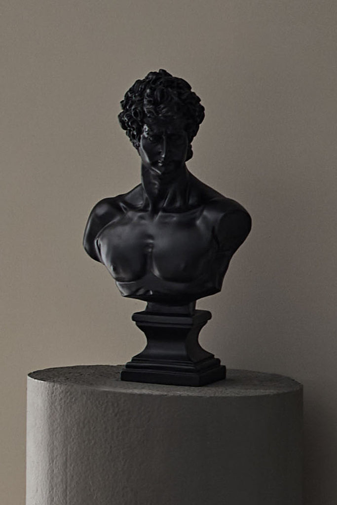 3200392398.0-siyah-bust-2